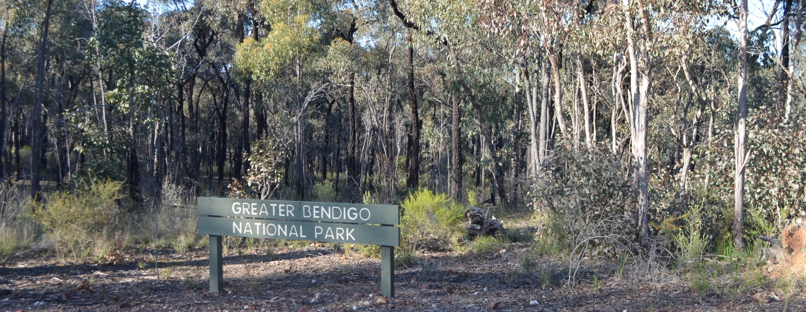 Community input session – Greater Bendigo Public Space Plan and Greening Greater Bendigo Strategy