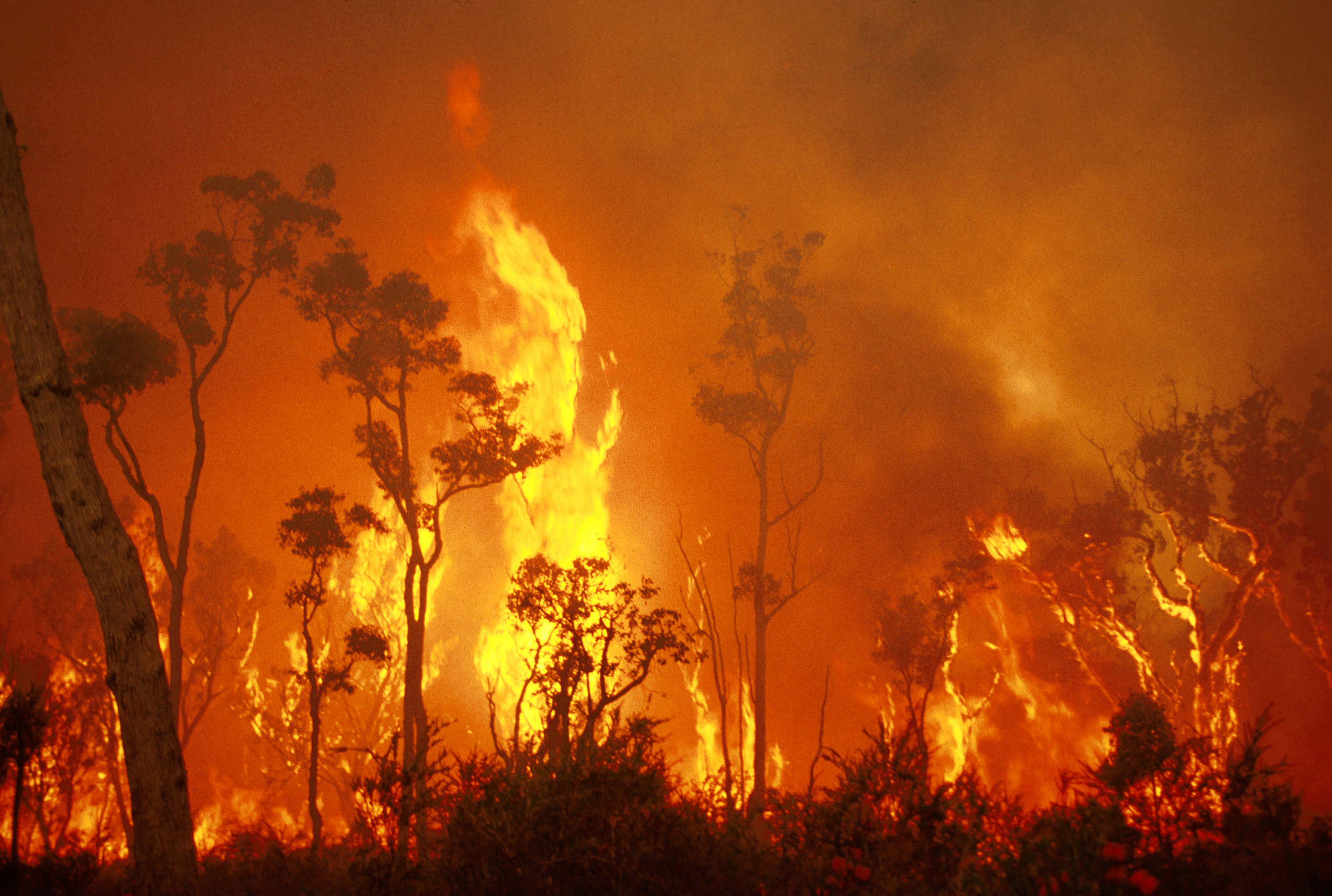 Summer fire restrictions in Junortoun and Greater Bendigo