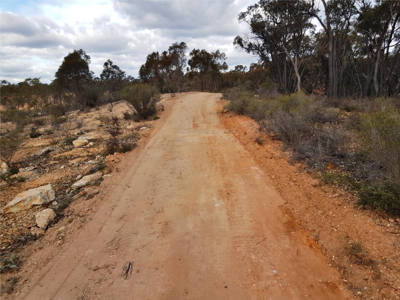 Update on track works at Honeyeater Bushland Reserve